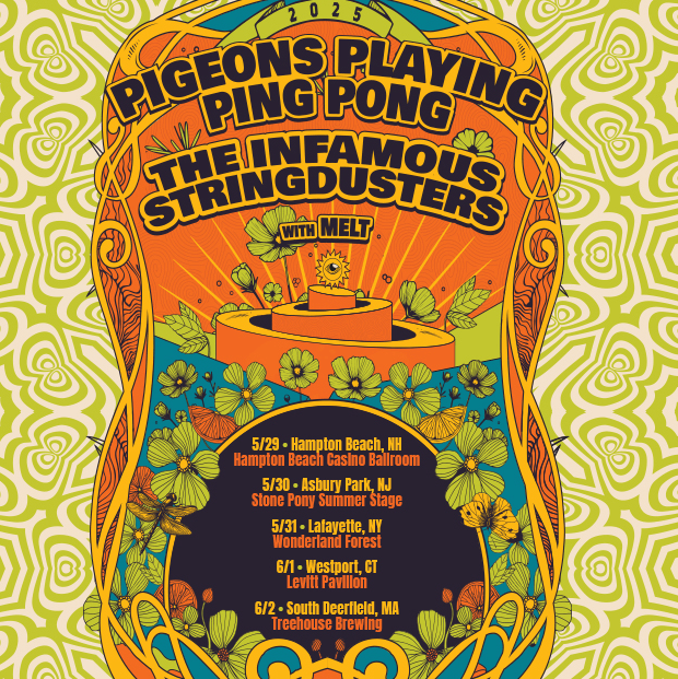 PIGEONS PLAYING PING PONG + THE INFAMOUS STRINGDUSTERS