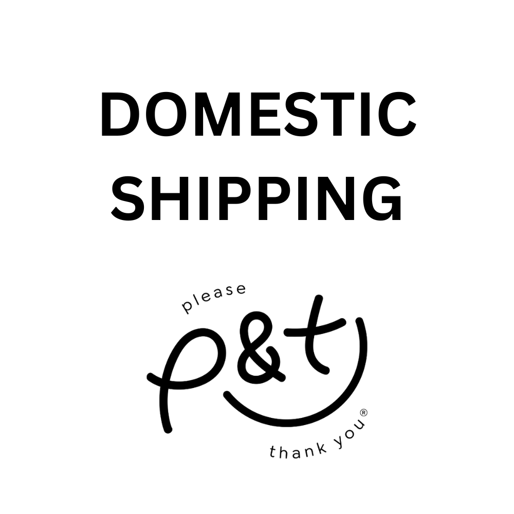 Flat Rate Domestic Shipping (Guitar)